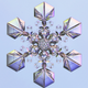 Illustration for article titled This Physicist Makes Dazzling Snowflakes in his Laboratory